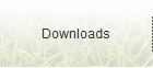 Downloads